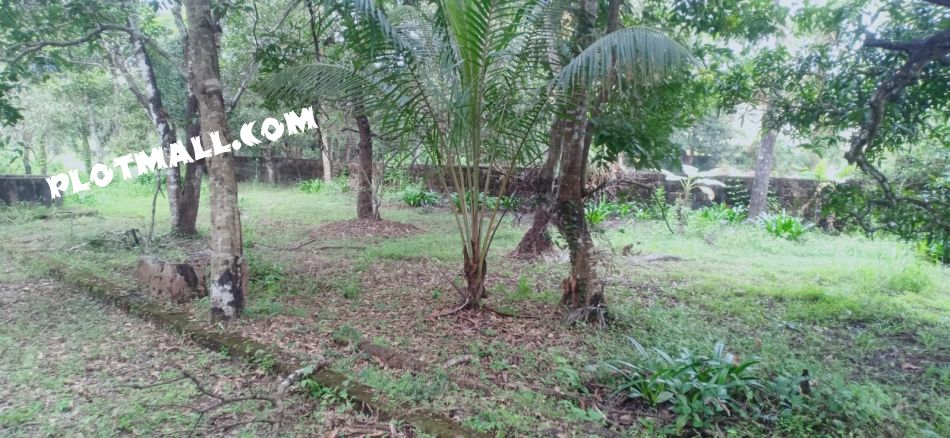 Residential Land For Sale