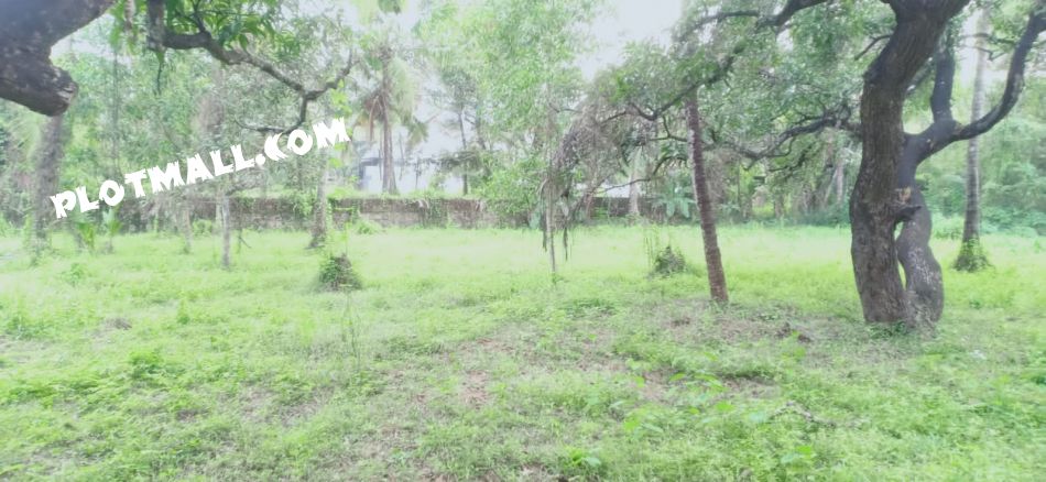 Residential Land For Sale