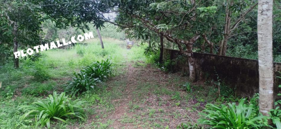 Residential Land For Sale