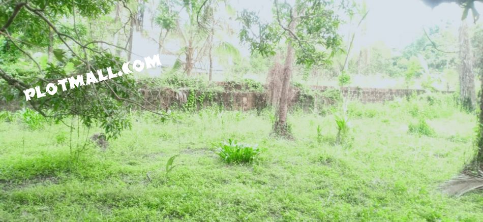 Residential Land For Sale