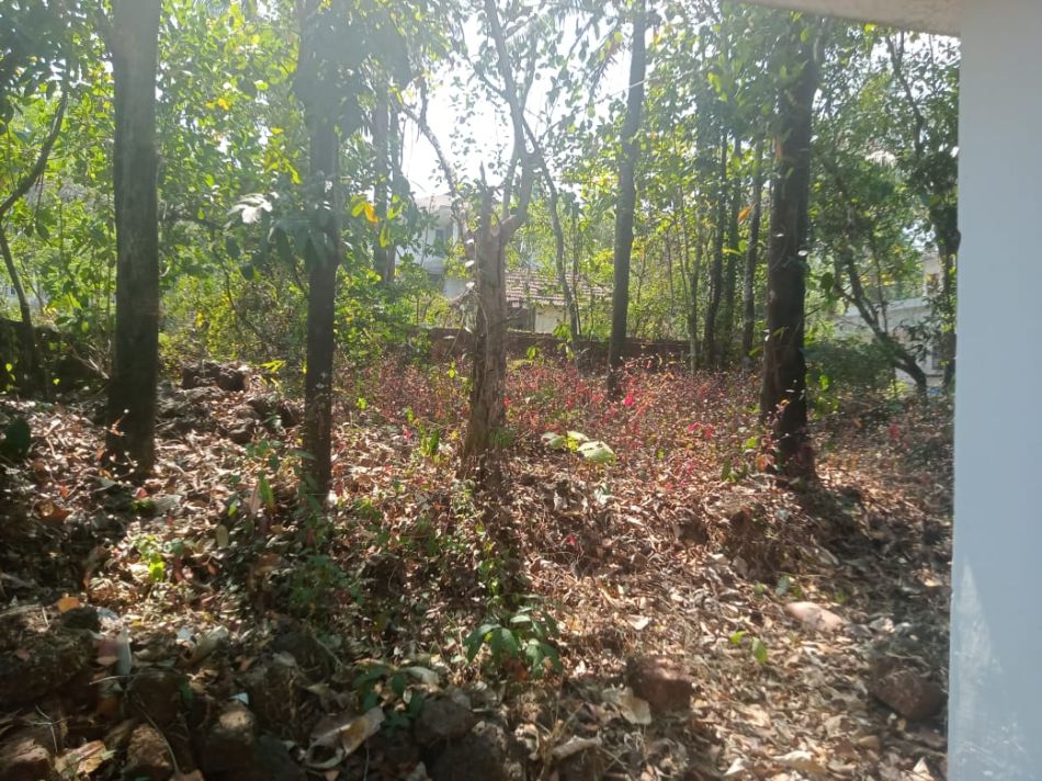 House / Villa For Sale