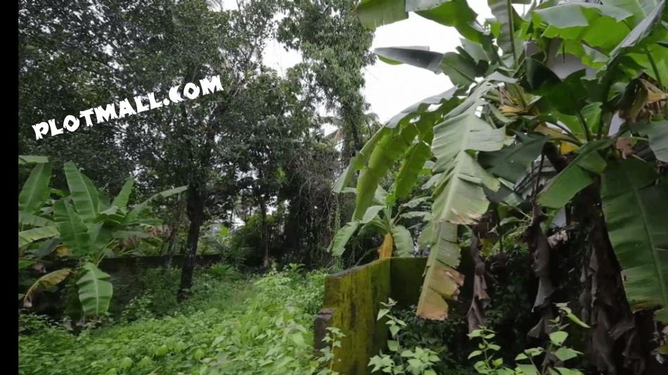 Residential Land For Sale