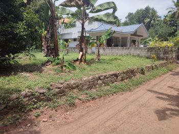 11.5 Cent Residential Land for Sale at Kallissery Budget - 250000 Cent