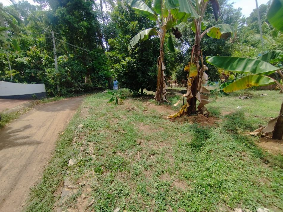 Residential Land For Sale