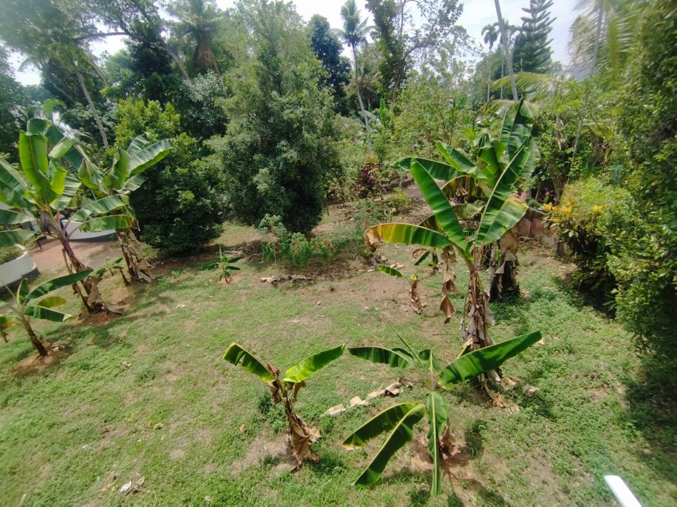 Residential Land For Sale