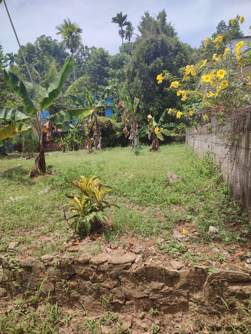 Residential Land For Sale