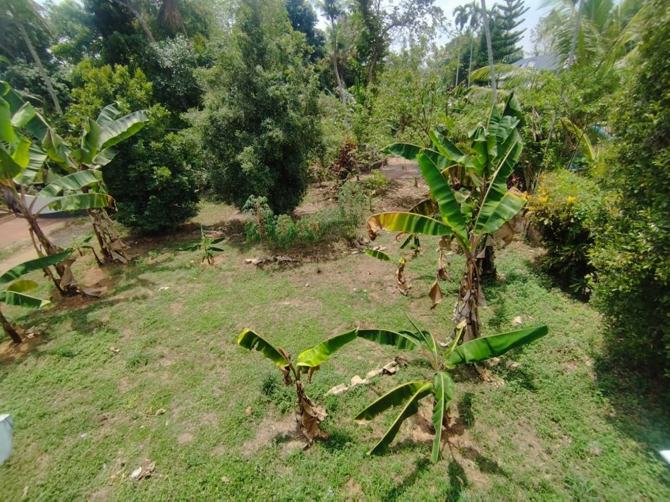 Residential Land For Sale