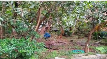 10 Cent Residential Land for Sale at Kannur Budget - 750000 Cent