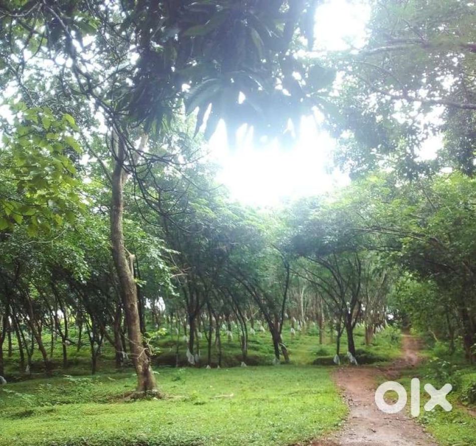 Residential Land For Sale