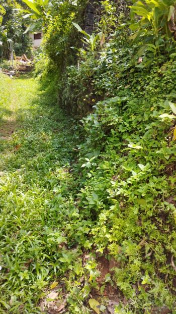 8.5 Cent Residential Land for Sale at Kottayam Budget - 2800000 Total