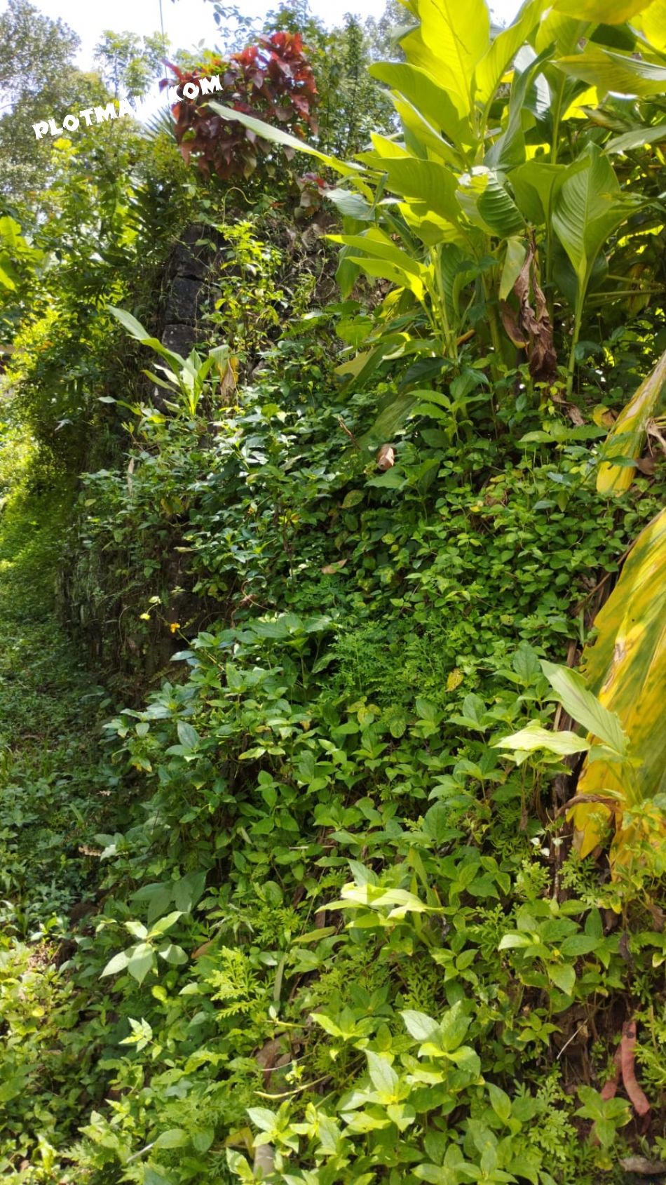 Residential Land For Sale