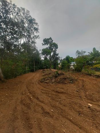 40 Cent Residential Land for Sale at Kozhanchery Budget - 300000 Cent