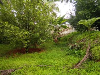 1.5 Acre Residential Land for Sale at Malappuram Budget - 160000 Cent
