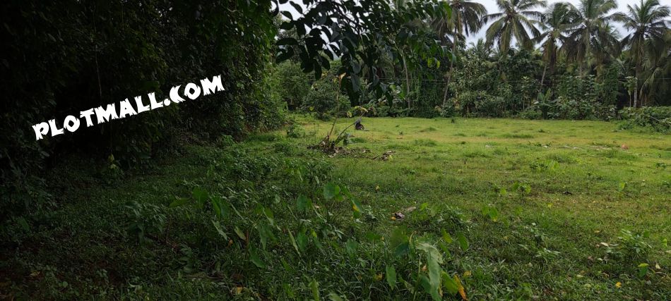 Residential Land For Sale