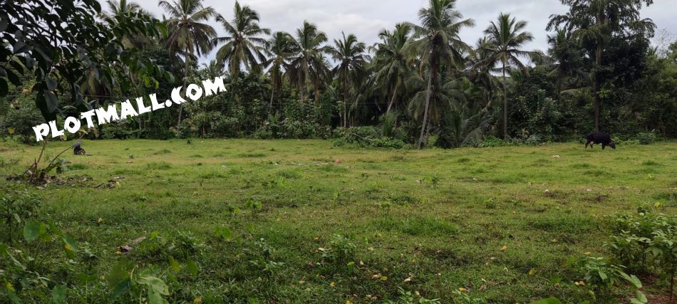 Residential Land For Sale