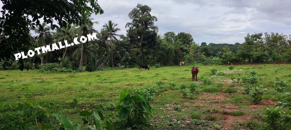 Residential Land For Sale