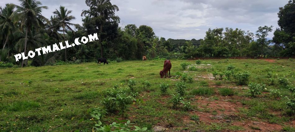 Residential Land For Sale