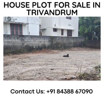 5.3 Cent Residential Land for Sale at Trivandrum Budget - 1300000 Cent