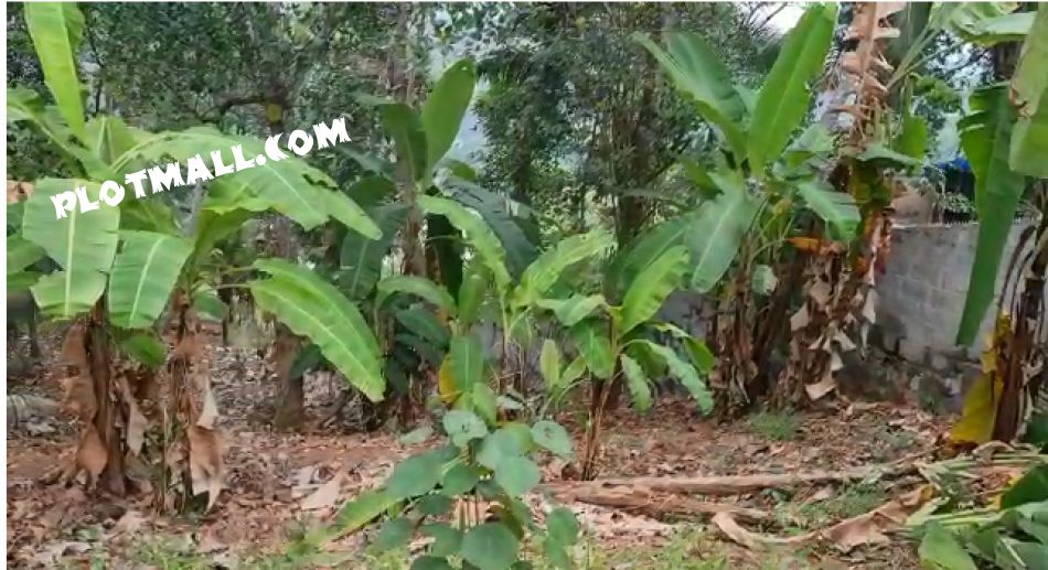 Residential Land For Sale