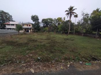 30 Cent Residential Land for Sale at Alangadu Budget - 450000 Cent