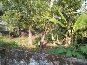 28 Cent Residential Land for Sale at Alleppey Budget - 500000 Cent
