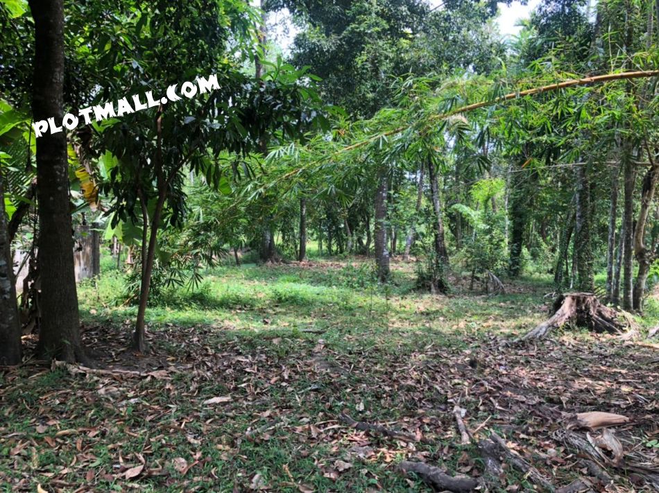 Residential Land For Sale