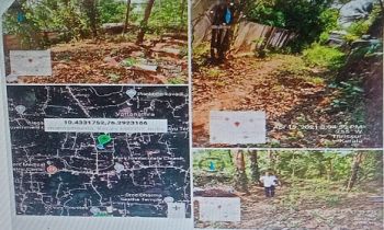 32.5 Cent Residential Land for Sale at Amballur Village Budget - 4900000 Total