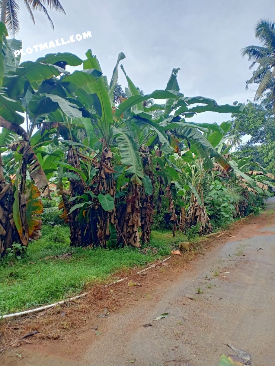 Residential Land For Sale