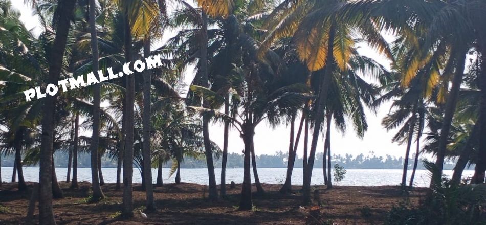 Residential Land For Sale