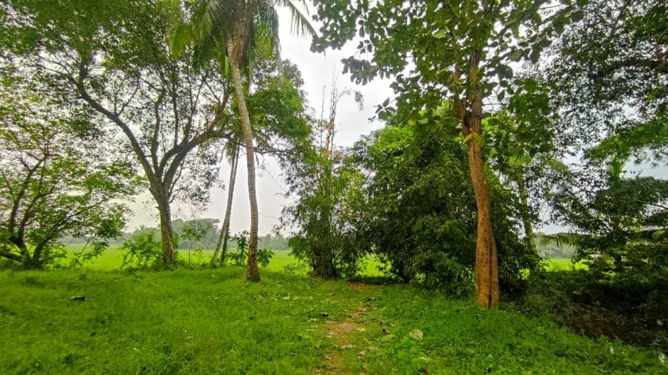 Residential Land For Sale