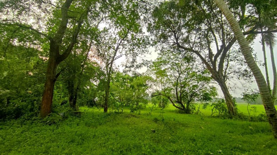 Residential Land For Sale