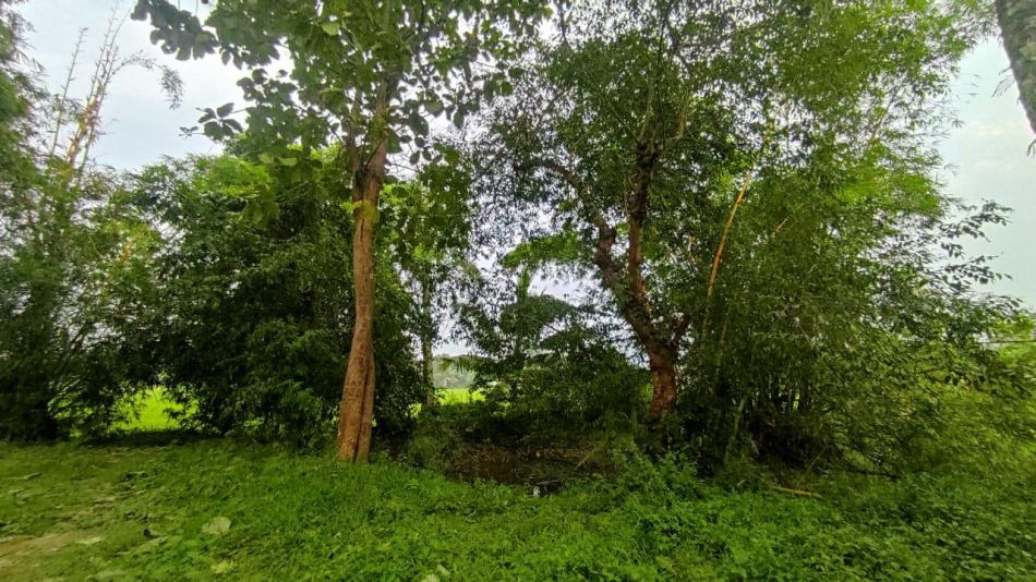 Residential Land For Sale