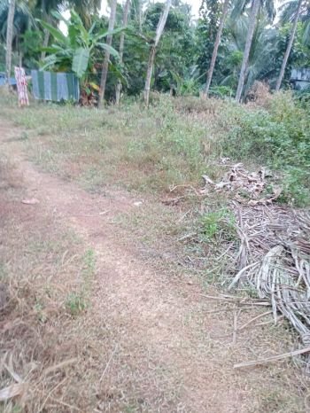 8.5 Cent Residential Land for Sale at Malappuram Budget - 30000 Cent