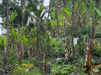 20 Cent Residential Land for Sale at Chengannur Budget - 400000 Cent