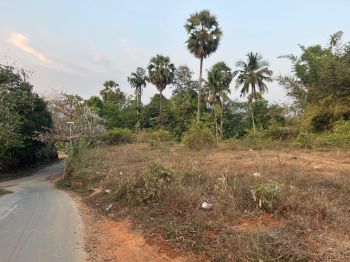 80 Cent Residential Land for Sale at Palakkad Budget - 90000 Cent