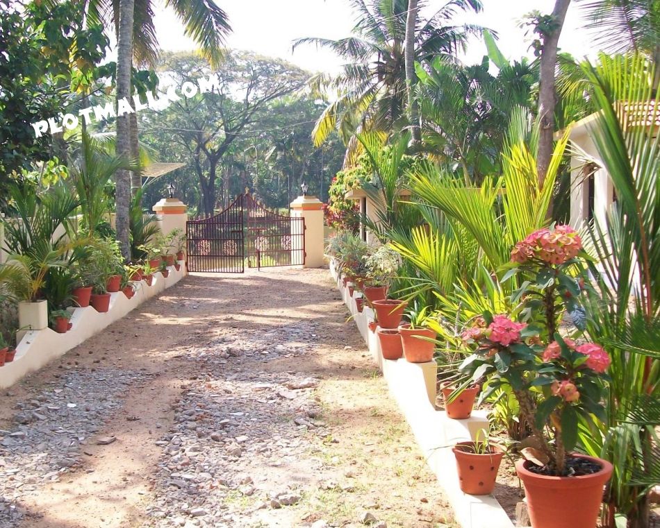 Residential Land For Sale