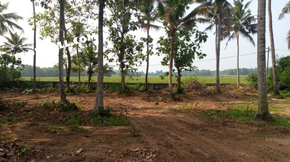 Residential Land For Sale