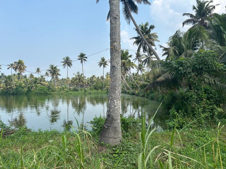 Residential Land For Sale