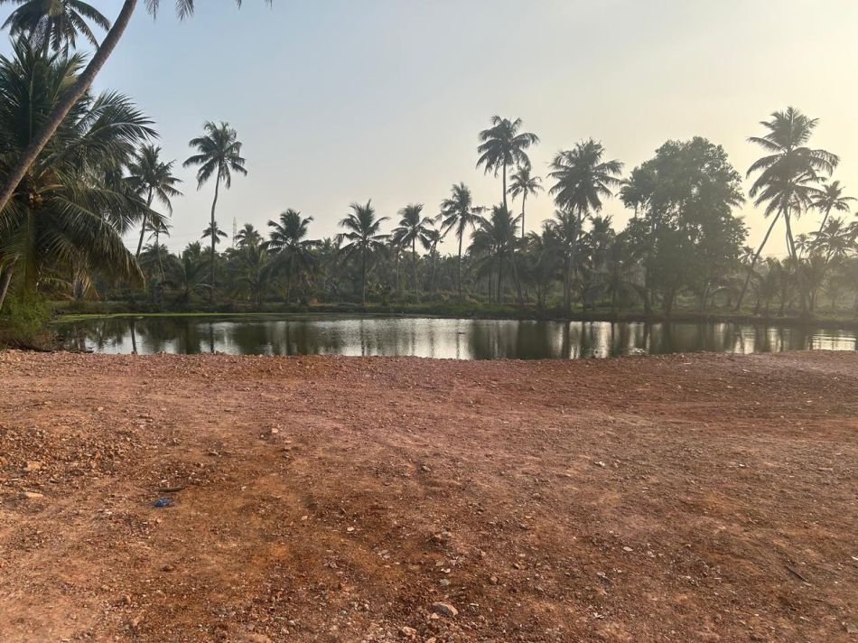 Residential Land For Sale