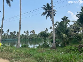 50 Cent Residential Land for Sale at Haripad Budget - 300000 Cent
