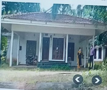 58.76 Cent Residential Land for Sale at Kangazha Budget - 18200000 Total