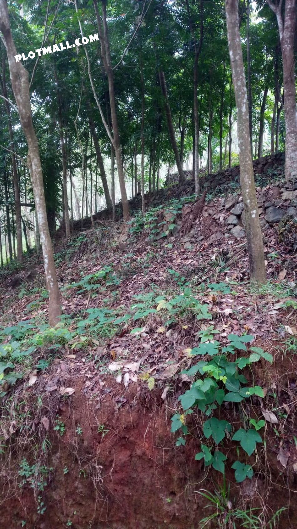 Residential Land For Sale