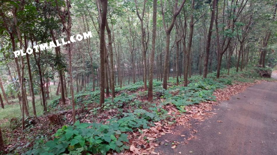 Residential Land For Sale