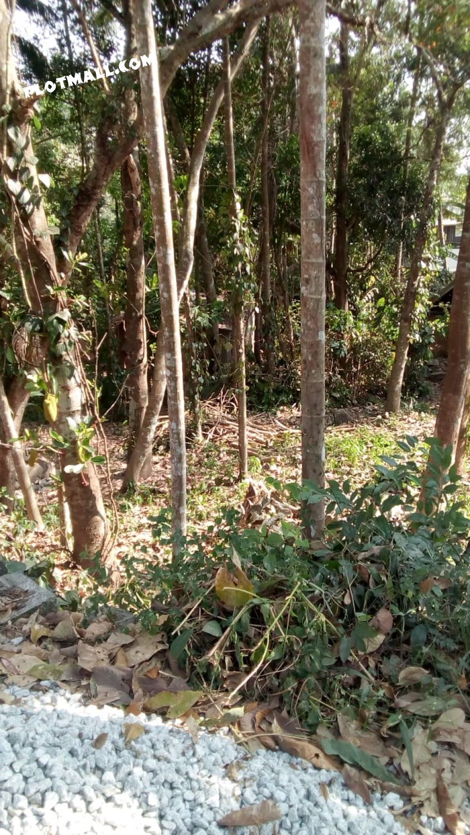 Residential Land For Sale