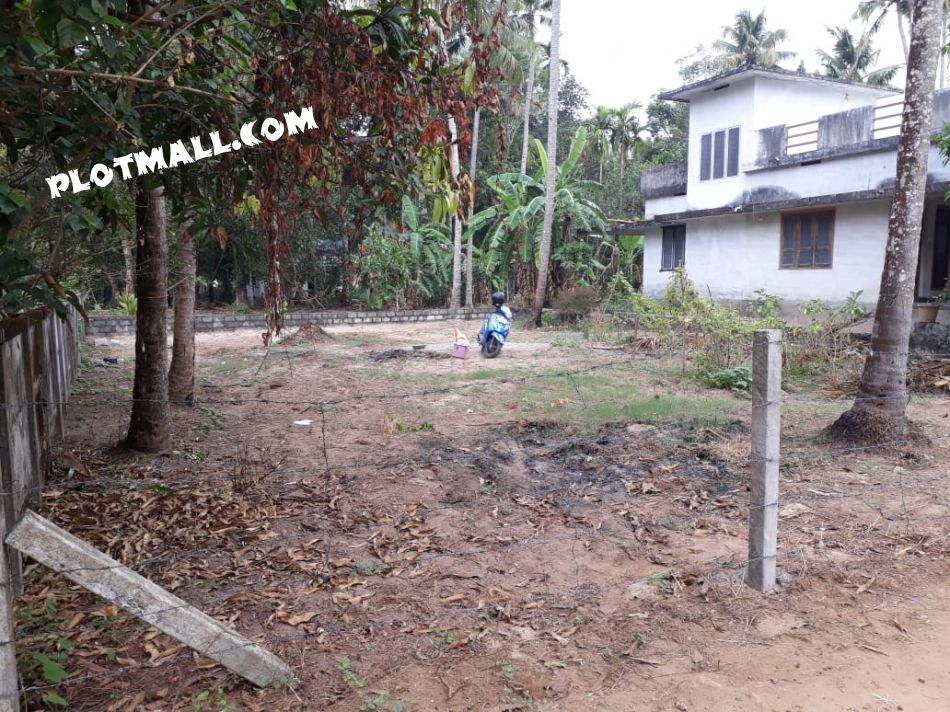 7.5 Cent Residential Land for Sale at Thrissur Budget - 350000 Cent