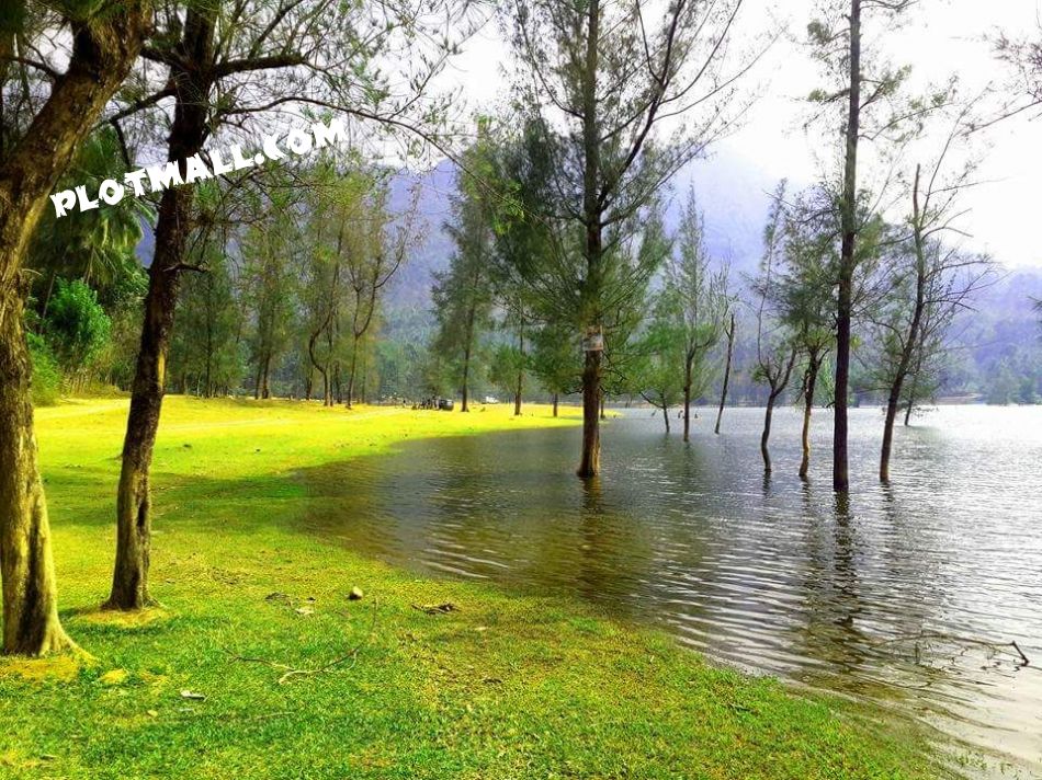 1.5 Acre Residential Land for Sale at Kariyathumpara Budget - 150000 Cent