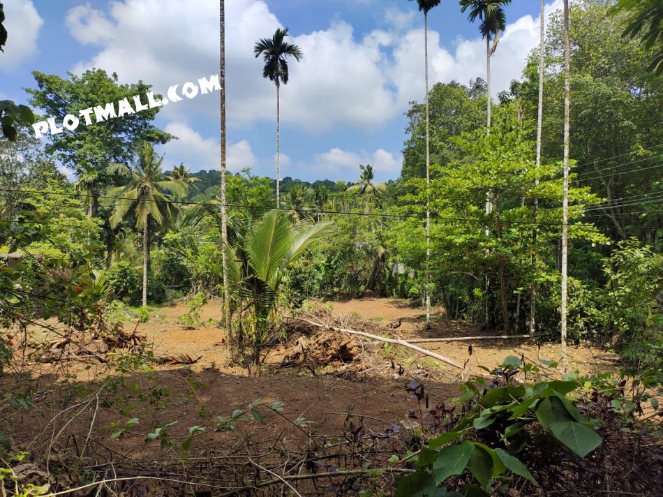 Residential Land For Sale