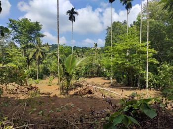 70 Cent Residential Land for Sale at Karukachal Budget - 500000 Cent