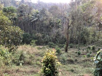 1.10 Acre Residential Land for Sale at Kavumannam Budget - 5500000 Total