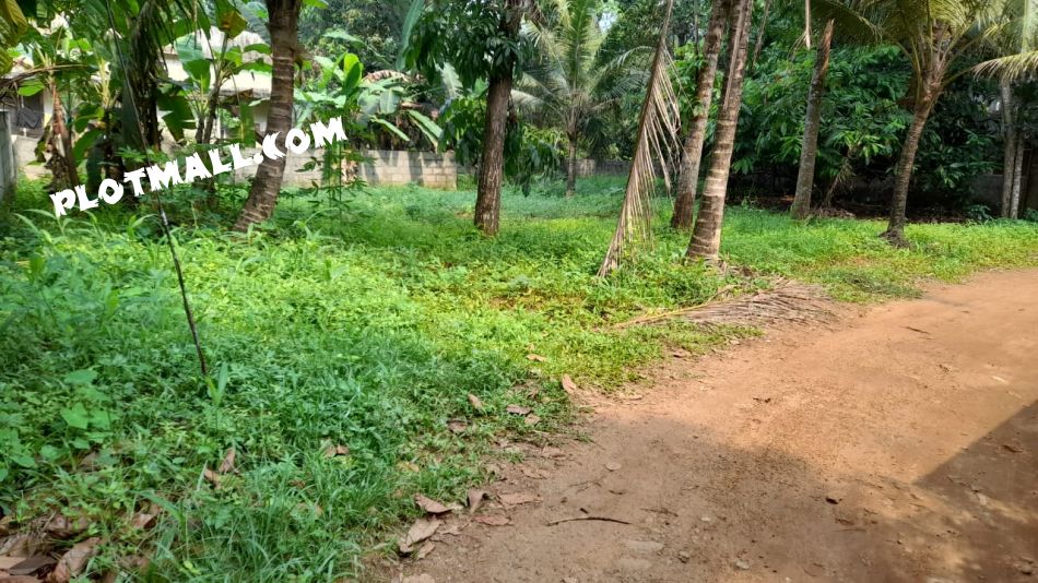 Residential Land For Sale